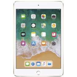 iPad Mini 4th Gen