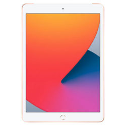 iPad 9th Gen 10.2" (2021)